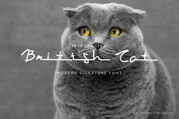 British Cat: A Furry and Fun Script Font for Web Design