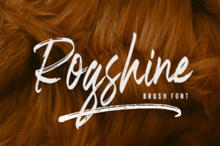 Enhance Your Campaigns with Rogshine: A Dynamic Script Font