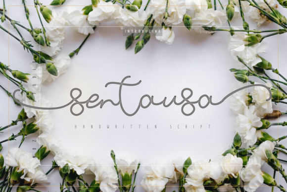 Enhance Your Campaigns with Sentausa Font
