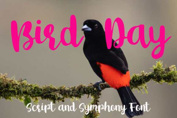 Explore Bird Day: A Versatile Handwritten Font for Branding
