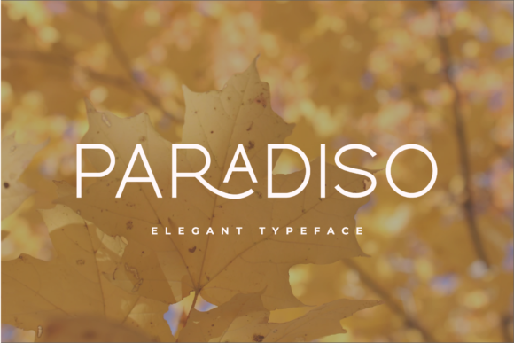 Paradiso: A Modern Script Font for Engaging Campaigns